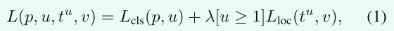 多任务损失