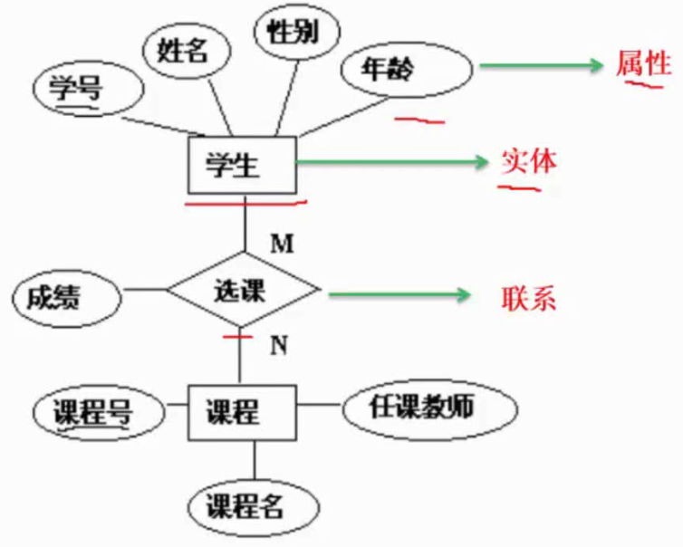 image-20210813152422416